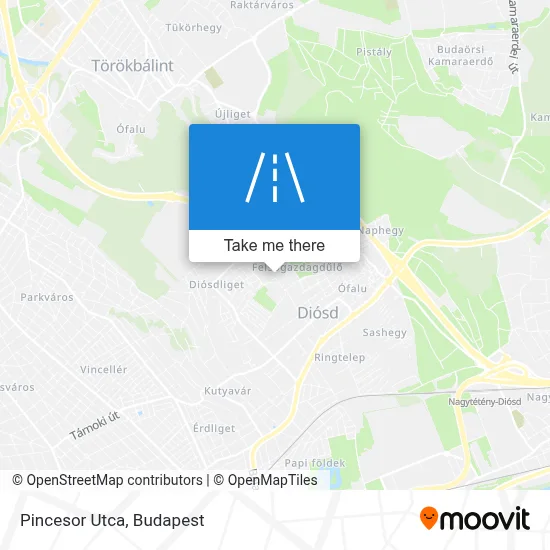 Pincesor Utca map