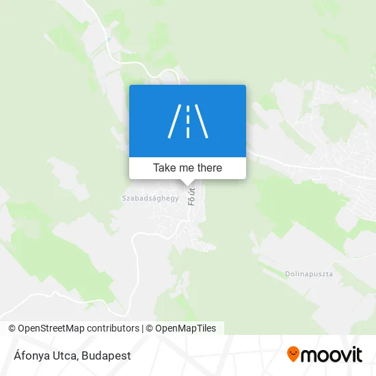 Áfonya Utca map