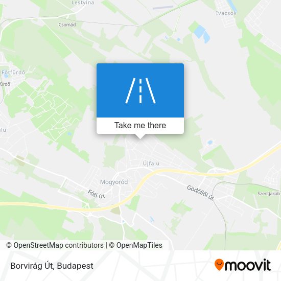 Borvirág Út map