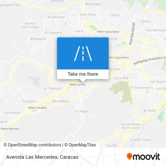 Avenida Las Mercedes map