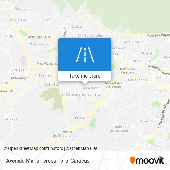 Avenida María Teresa Toro map