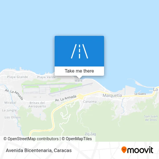 Avenida Bicentenaria map