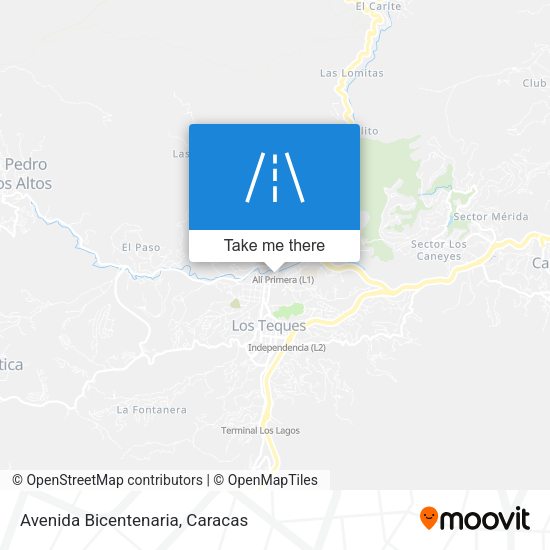 Mapa de Avenida Bicentenaria
