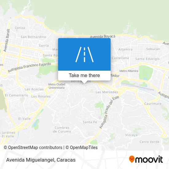 Avenida Miguelangel map