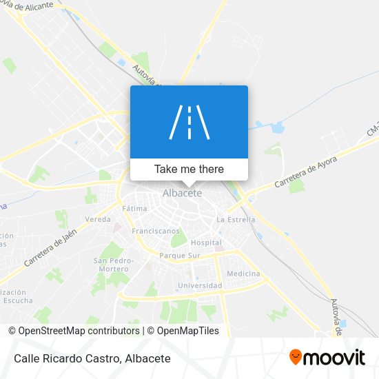 Calle Ricardo Castro map
