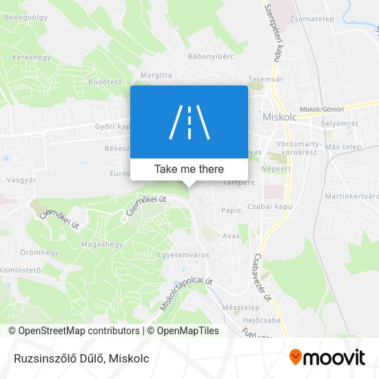 Ruzsinszőlő Dűlő map