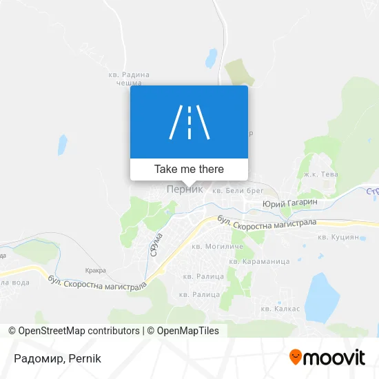 Карта Радомир