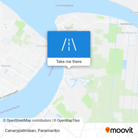 Canarypalmlaan map