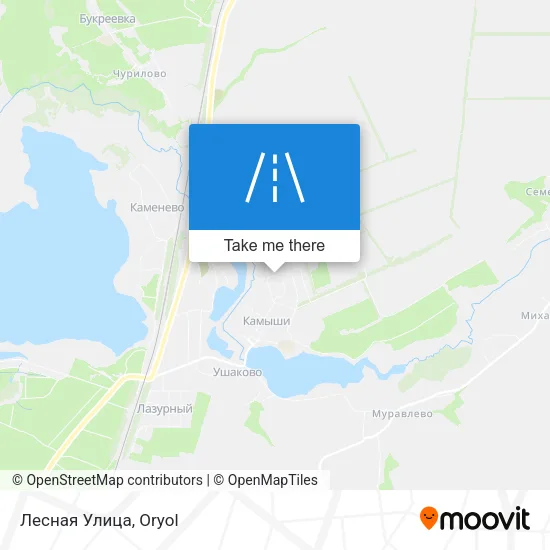 Лесная Улица map