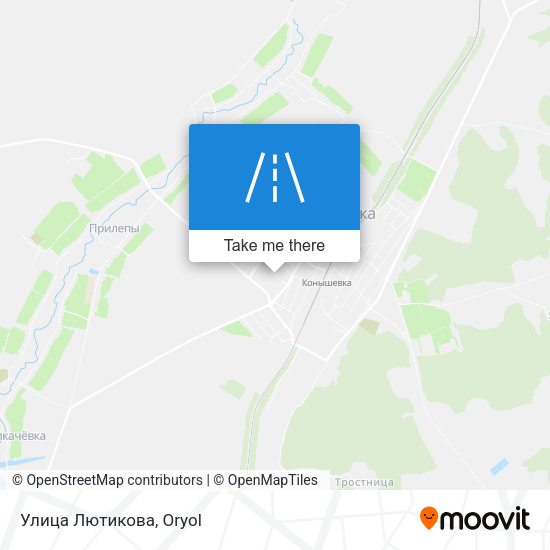 Улица Лютикова map