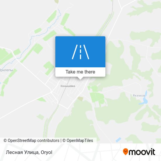 Лесная Улица map
