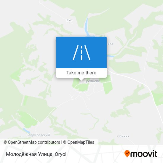 Молодёжная Улица map