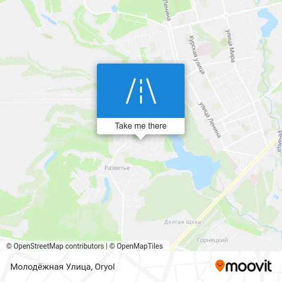 Молодёжная Улица map