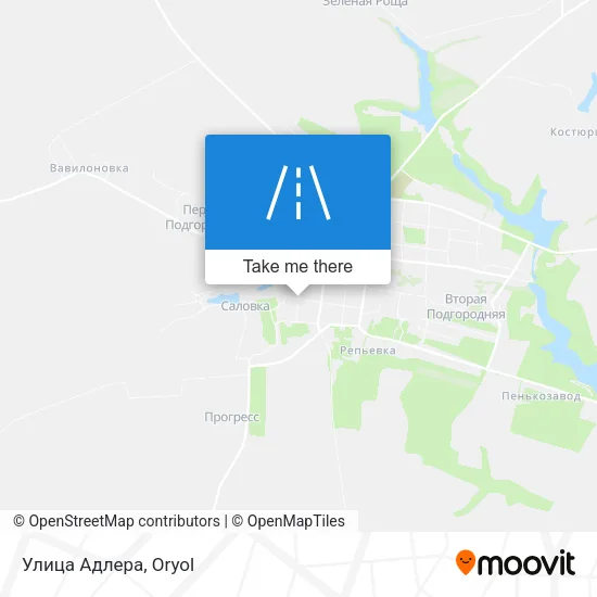 Улица Адлера map