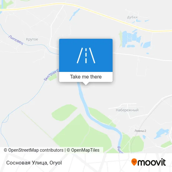 Сосновая Улица map