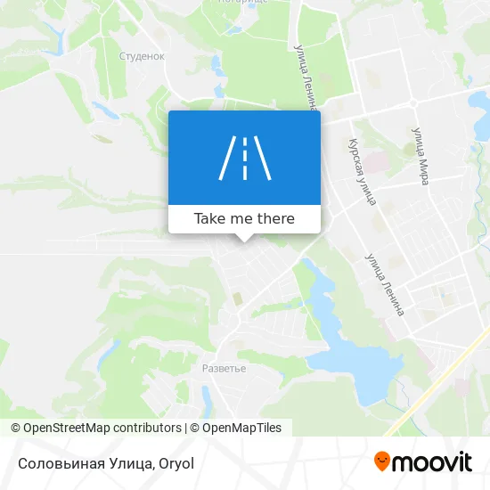 Соловьиная Улица map