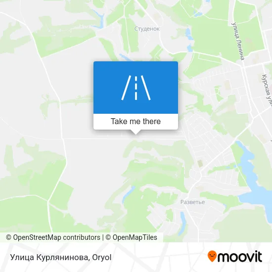 Улица Курлянинова map