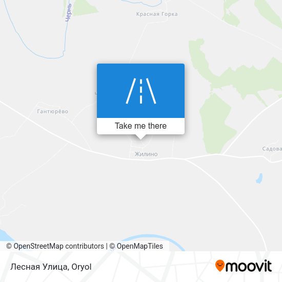 Лесная Улица map