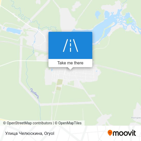 Улица Челюскина map