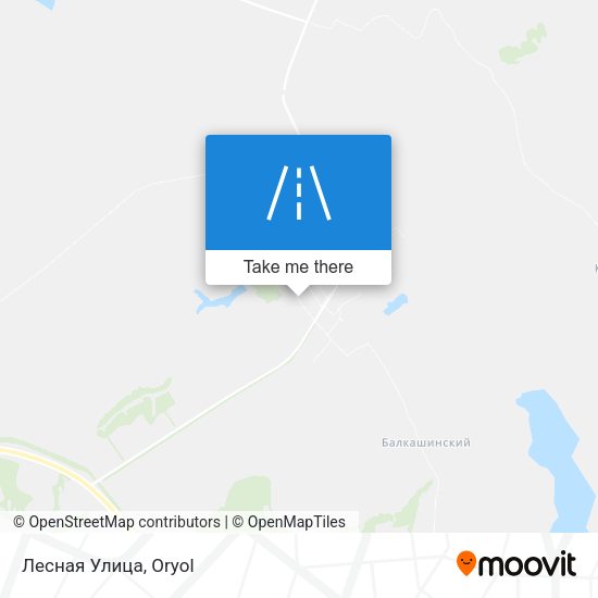 Лесная Улица map