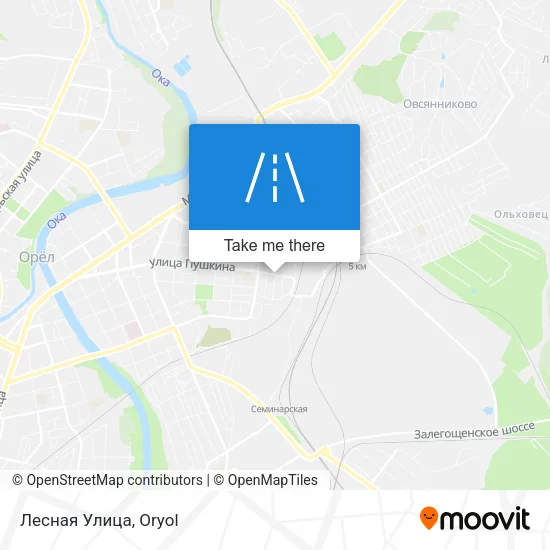 Лесная Улица map