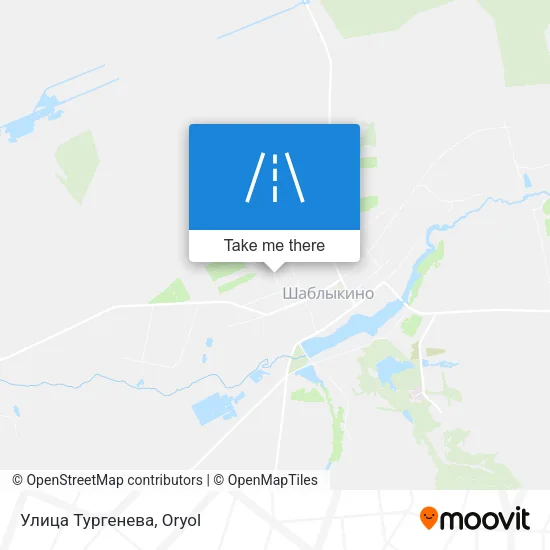 Улица Тургенева map
