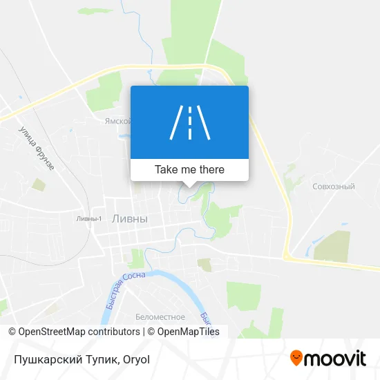 Пушкарский Тупик map