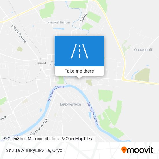 Улица Аникушкина map