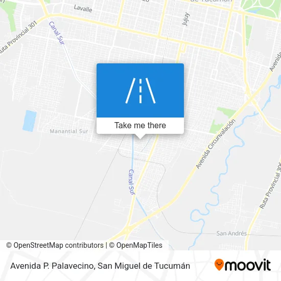 Mapa de Avenida P. Palavecino