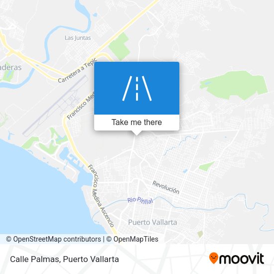 Mapa de Calle Palmas
