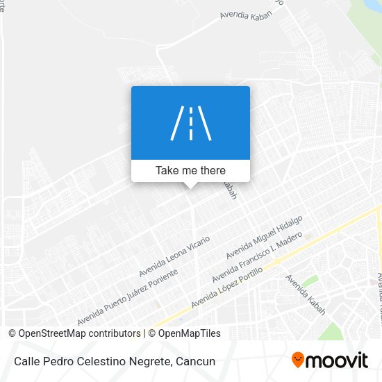 Mapa de Calle Pedro Celestino Negrete