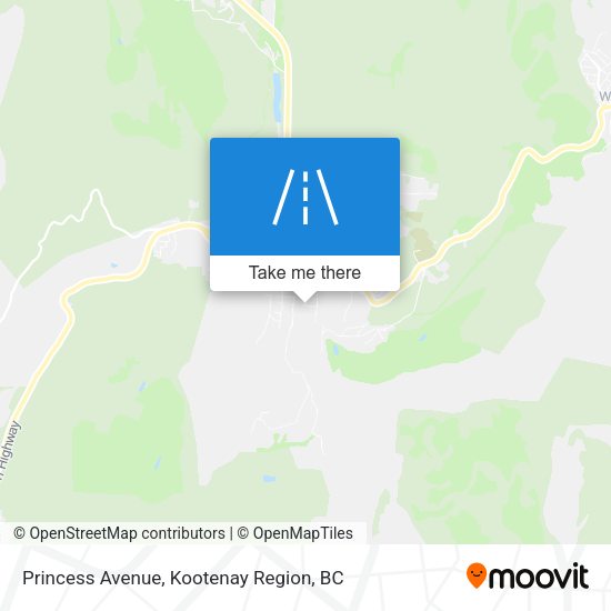 Princess Avenue plan