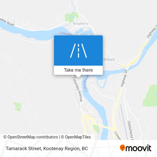Tamarack Street map