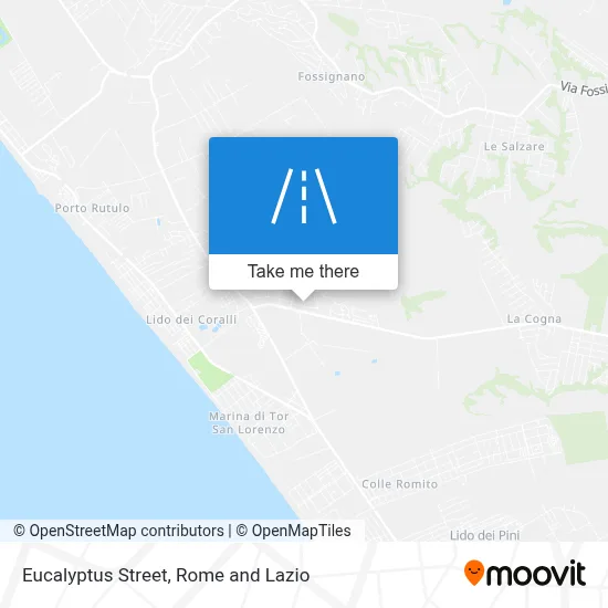 Eucalyptus Street map