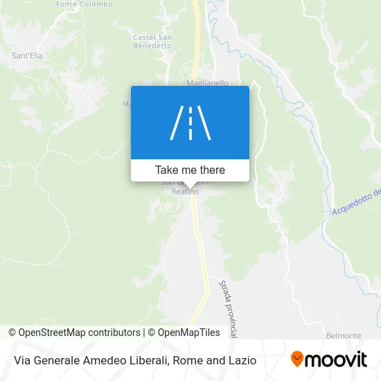 Generale Amedeo Liberali Street map