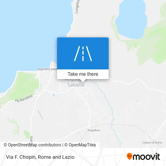 F. Chopin Street map