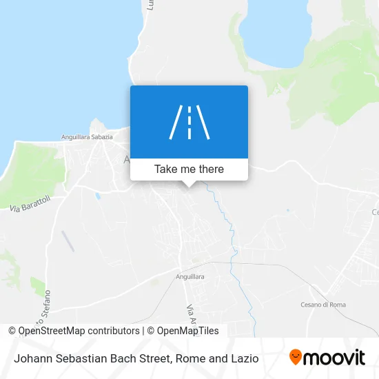 Johann Sebastian Bach Street map