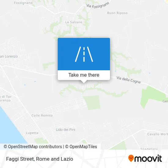 Faggi Street map