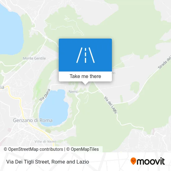 Via Dei Tigli Street map