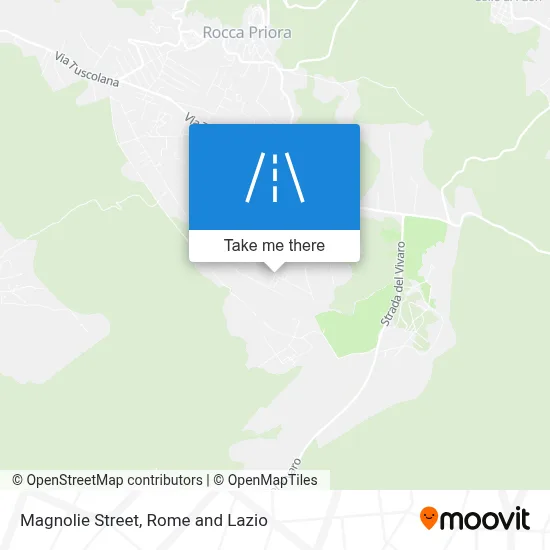 Magnolie Street map