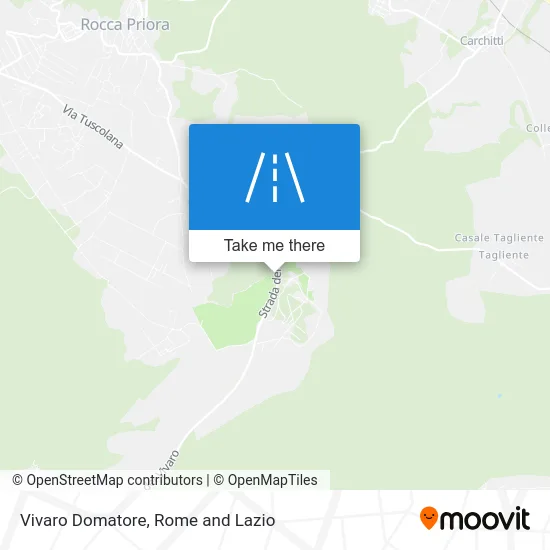 Vivaro Domatore Street map