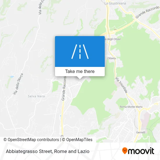 Abbiategrasso Street map