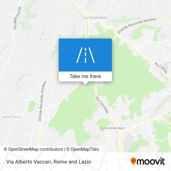 Via Alberto Vaccari map