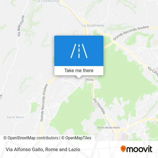 Alfonso Gallo Street map