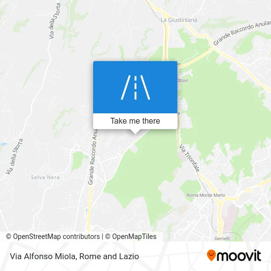 Alfonso Miola Street map
