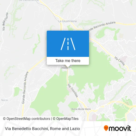 Benedetto Bacchini Street map