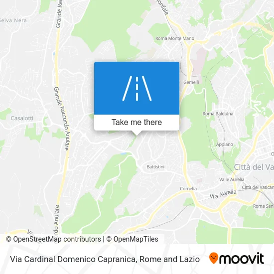 Cardinal Domenico Capranica Street map