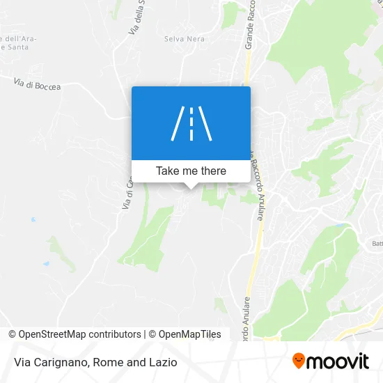 Carignano Street map