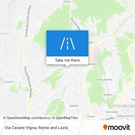 Cesare Vigna Street map