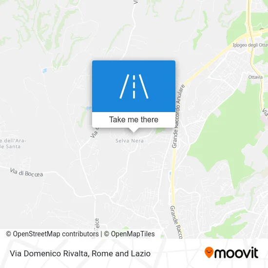 Domenico Rivalta Street map
